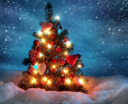 beautiful_christmas_tree-wide