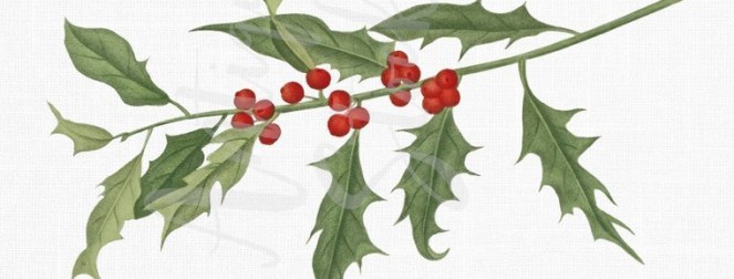 il_570xN.1526158043_b14d